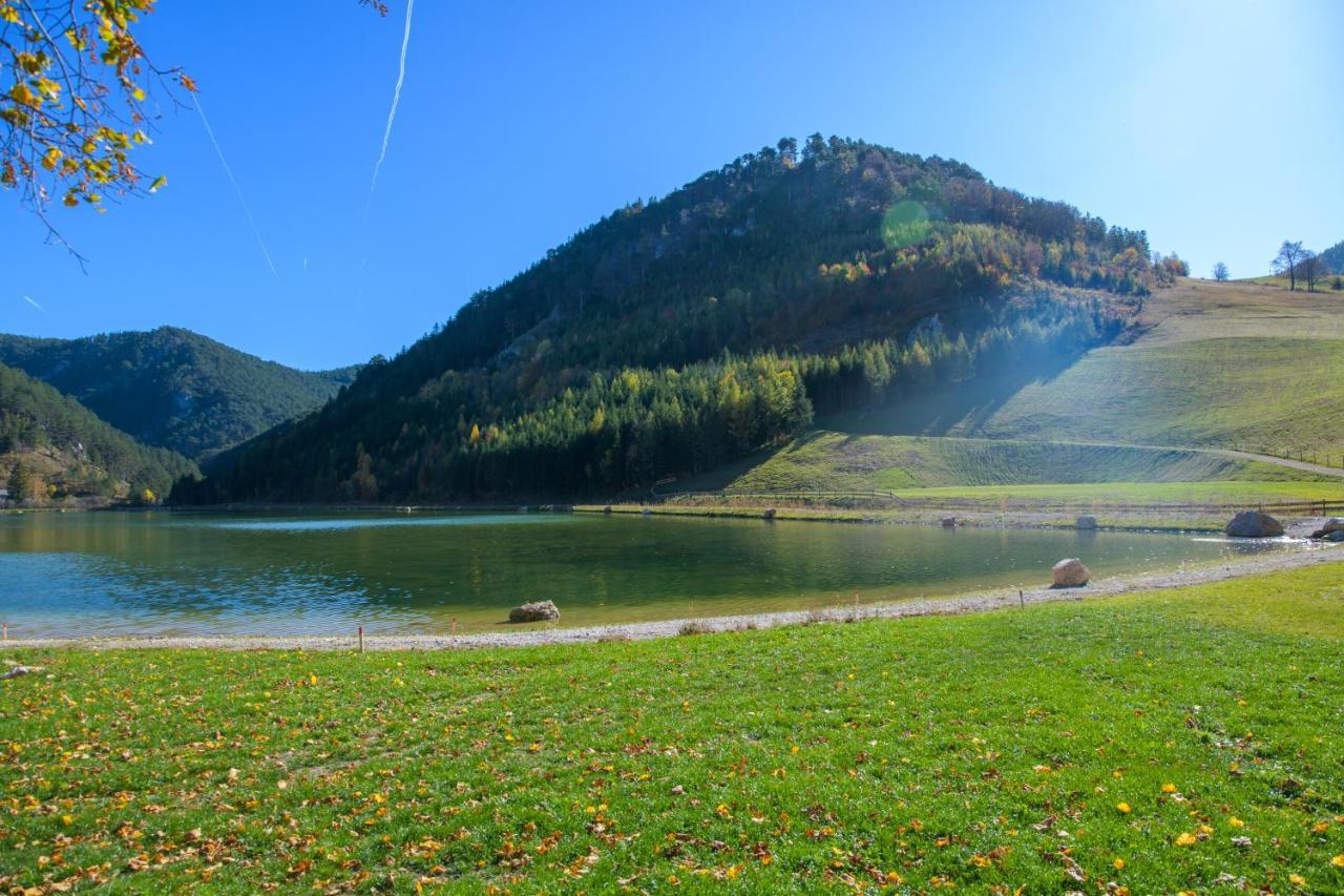 Chalet Am Schneeberg See 푸크베르크암슈니베르크 외부 사진